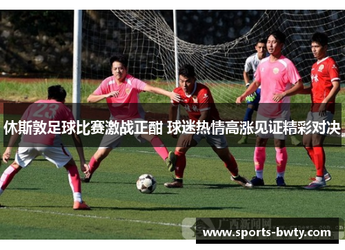 休斯敦足球比赛激战正酣 球迷热情高涨见证精彩对决