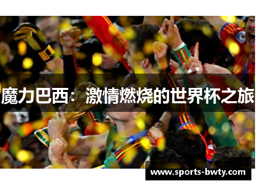 魔力巴西：激情燃烧的世界杯之旅